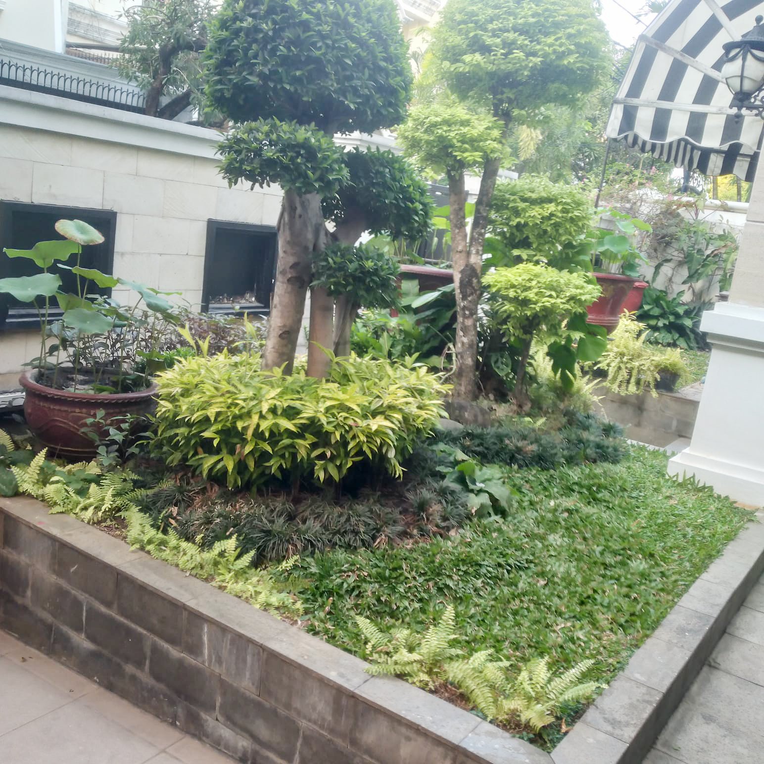 Rumah 5 Kamar Kuningan Jakarta