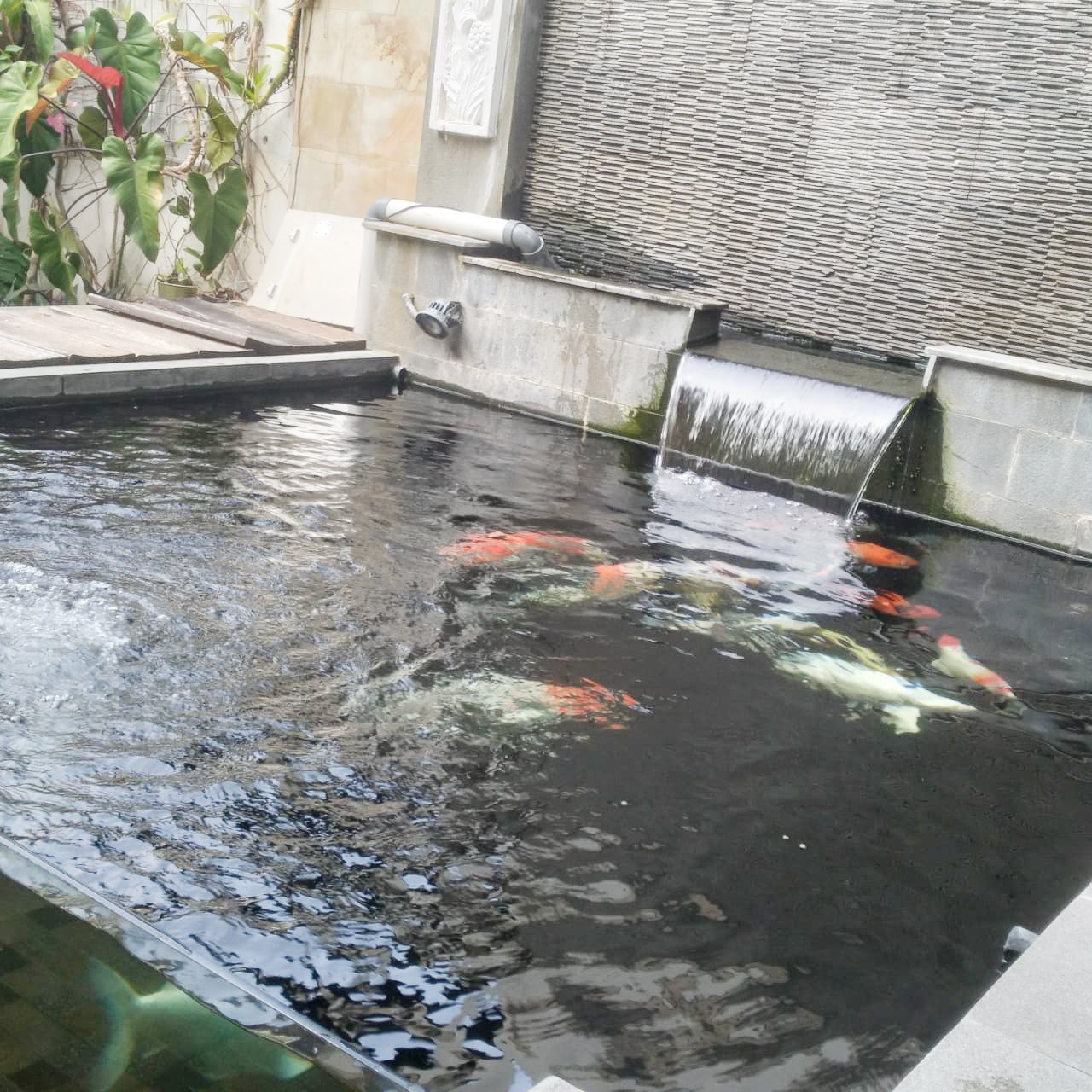 Rumah 5 Kamar Kuningan Jakarta